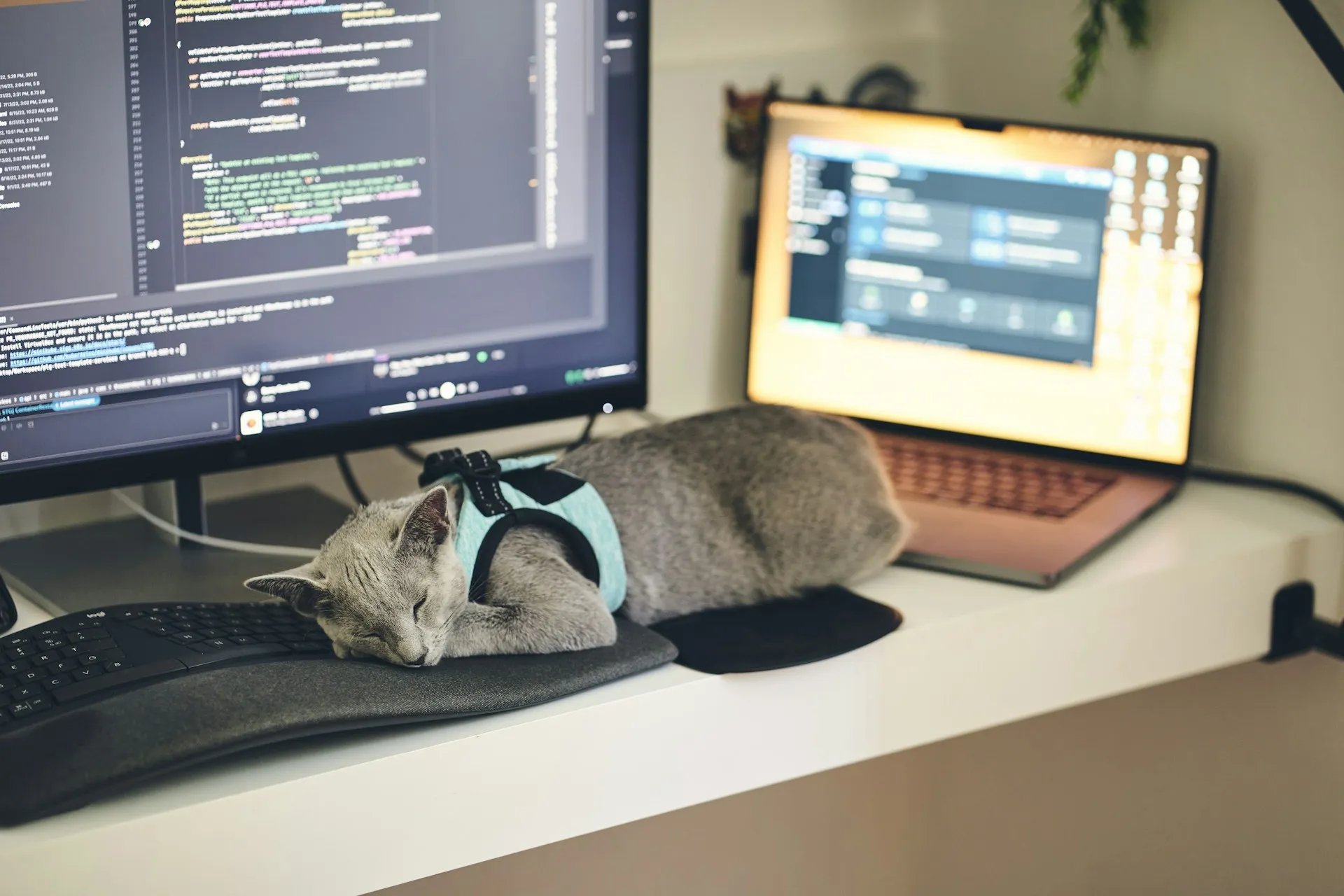Le Vibe Coding pour les TPE et PME : une fausse bonne idée ?